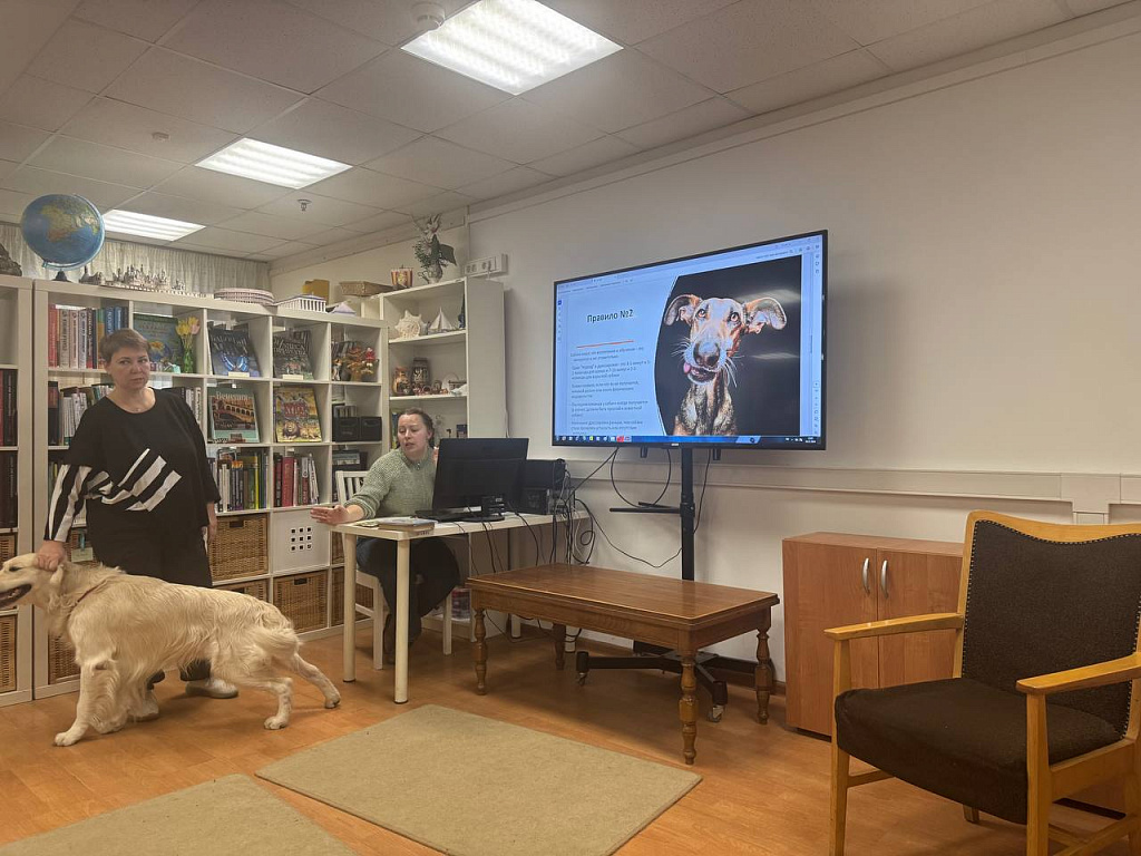 Dog урок. Изображение 5