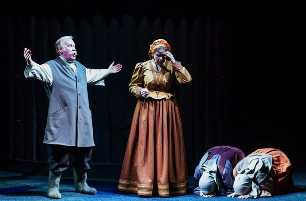 Капитанская дочка (Театр русской драмы). Изображение 1