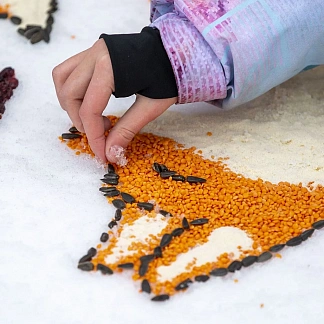 Зимние прогулки для любознательных детей