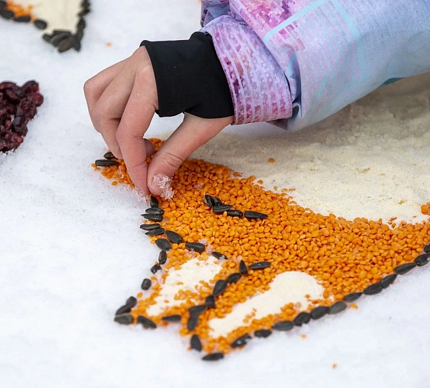 Зимние прогулки для любознательных детей