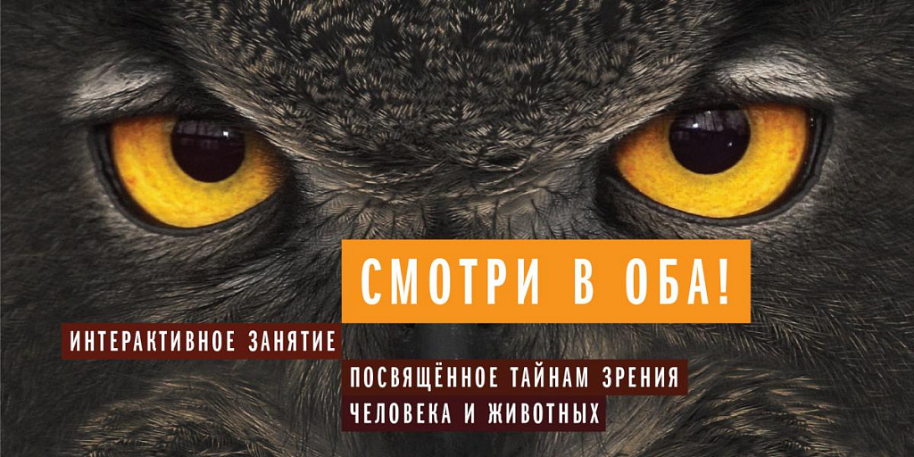 Смотри в оба!. Изображение 1