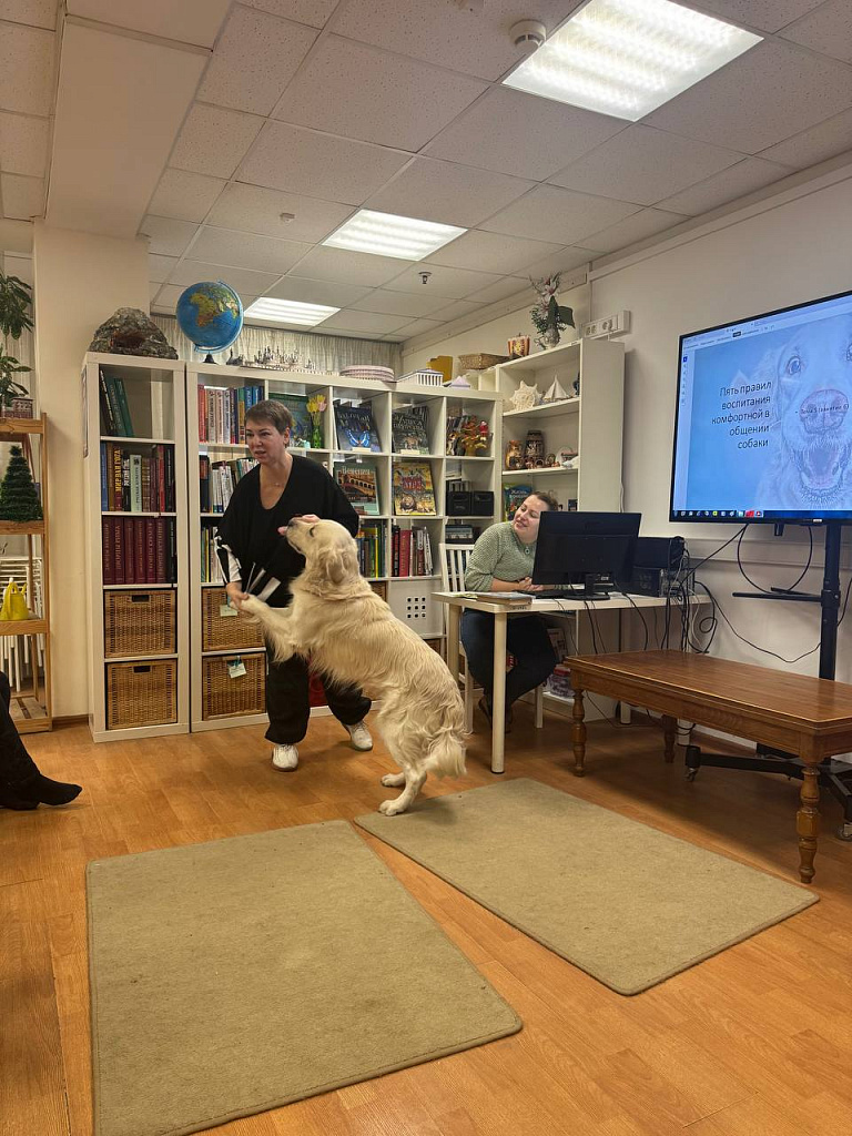 Dog урок. Изображение 4