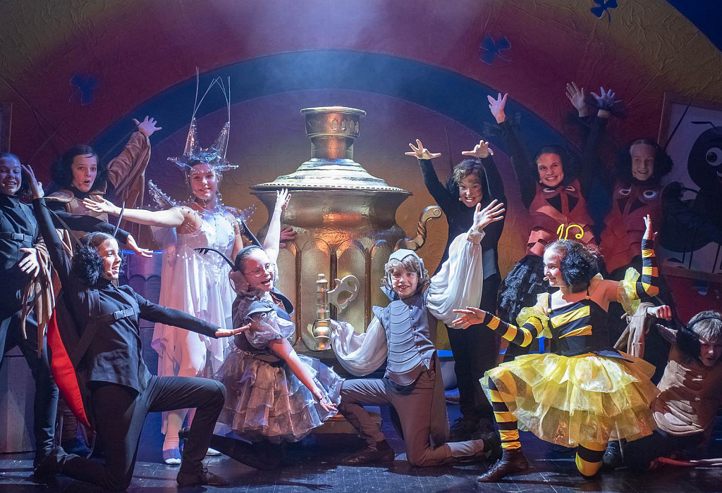 Муха-цокотуха (ДМТЮА). Изображение 12