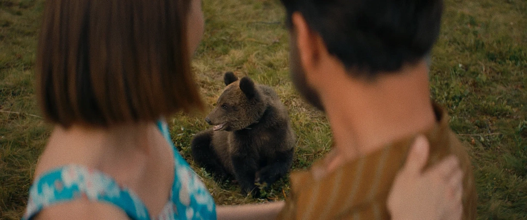 Пальма 2. Изображение 4