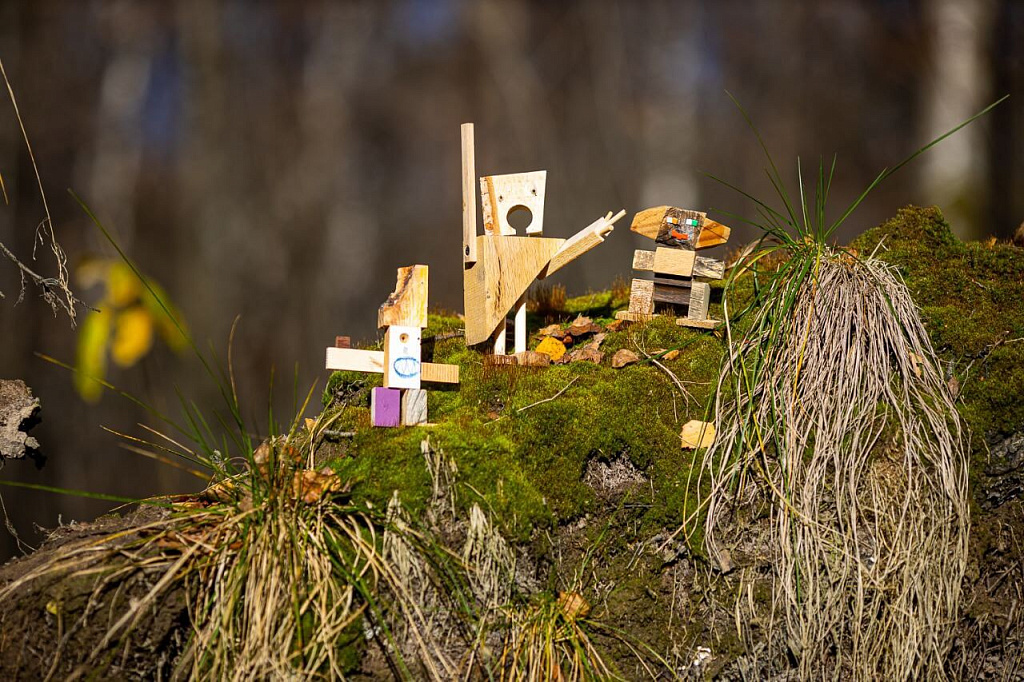 Деревянная школа х Зотов. Изображение 3