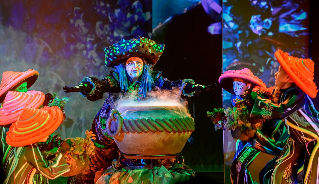 Волшебник Изумрудного города (ДТМЮА). Изображение 13