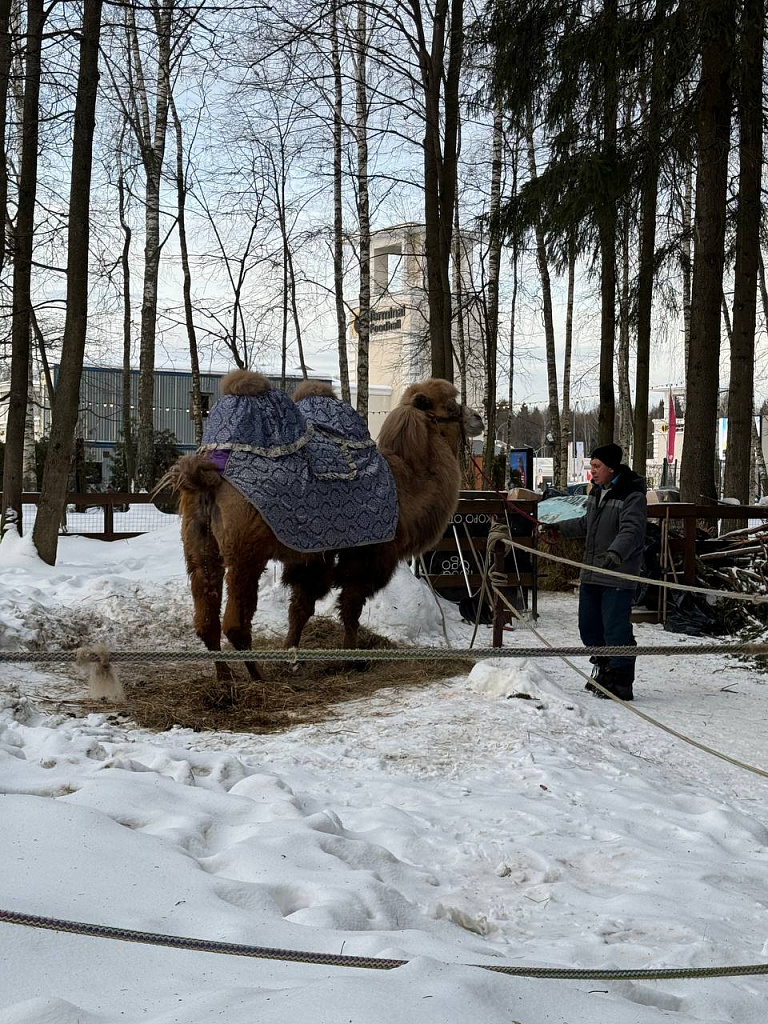 Зоопарк во Vnukovo Outlet Village. Изображение 10