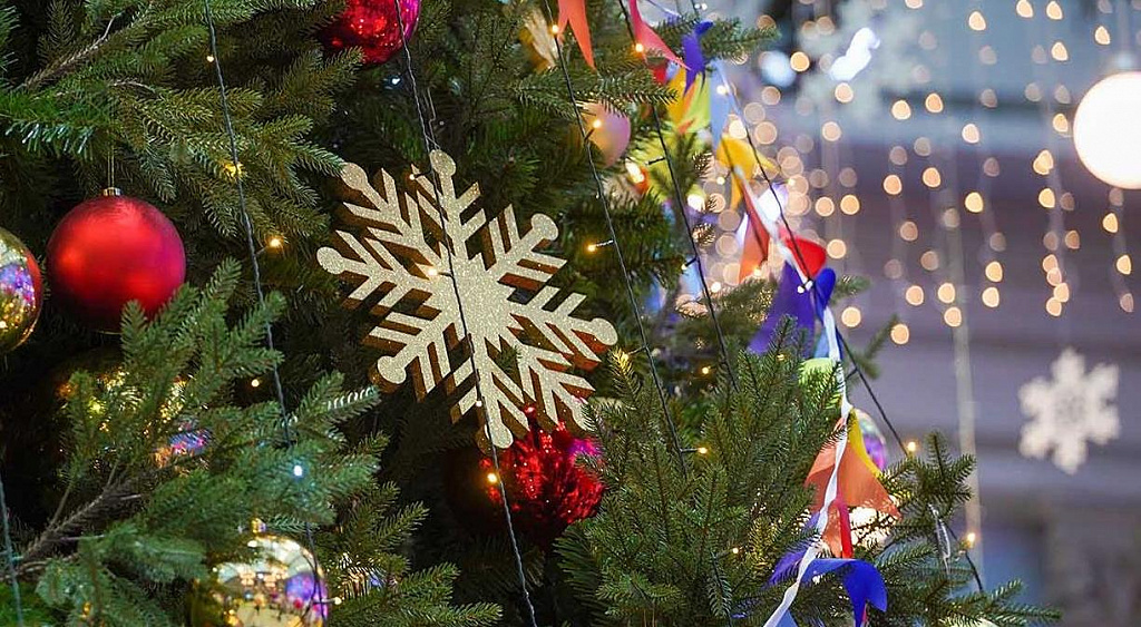 Голландский Новый год. Изображение 3