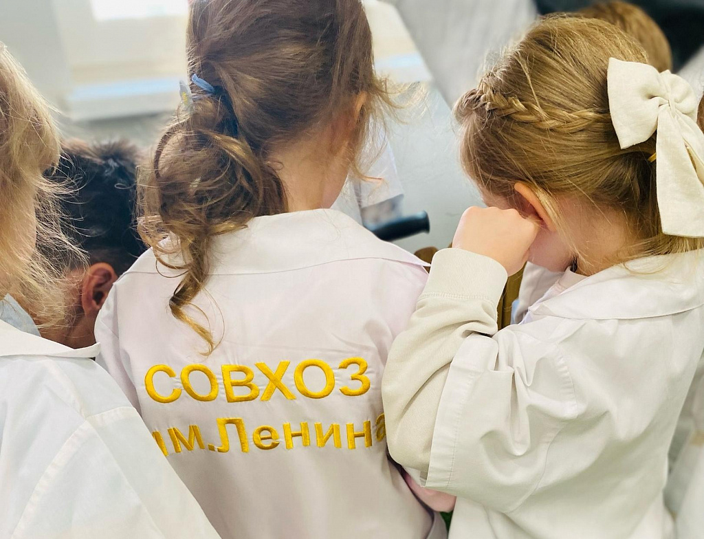 Земляничный город. Изображение 1