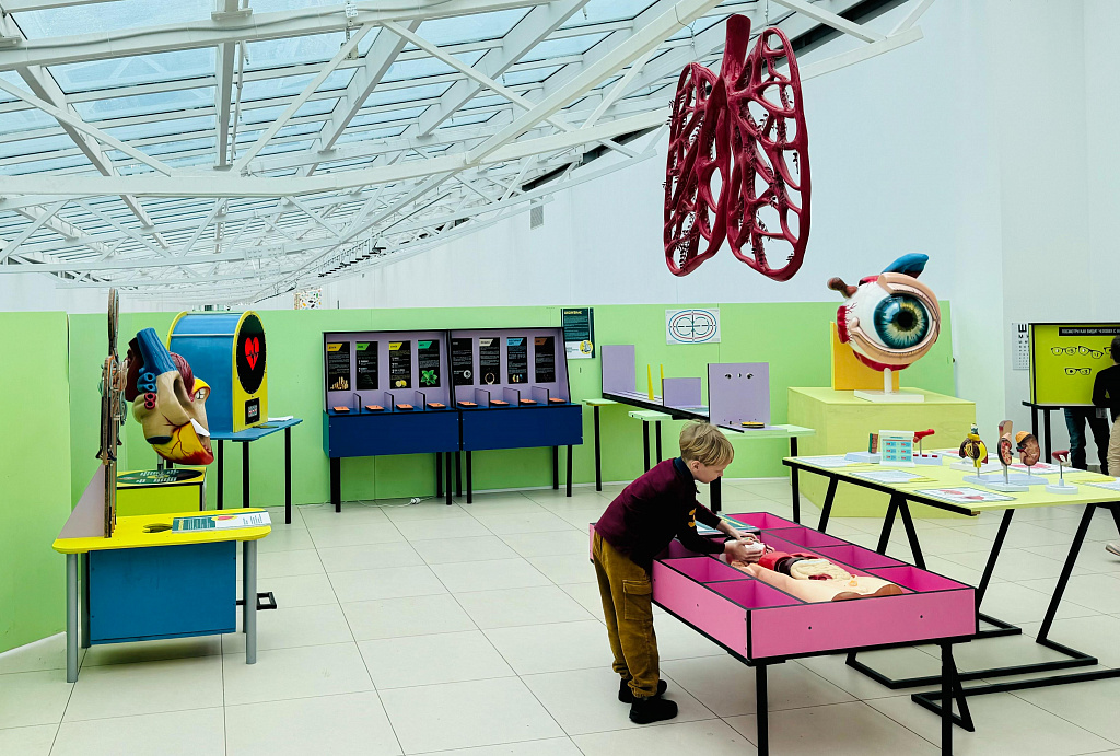 Анатомикум. Изображение 2