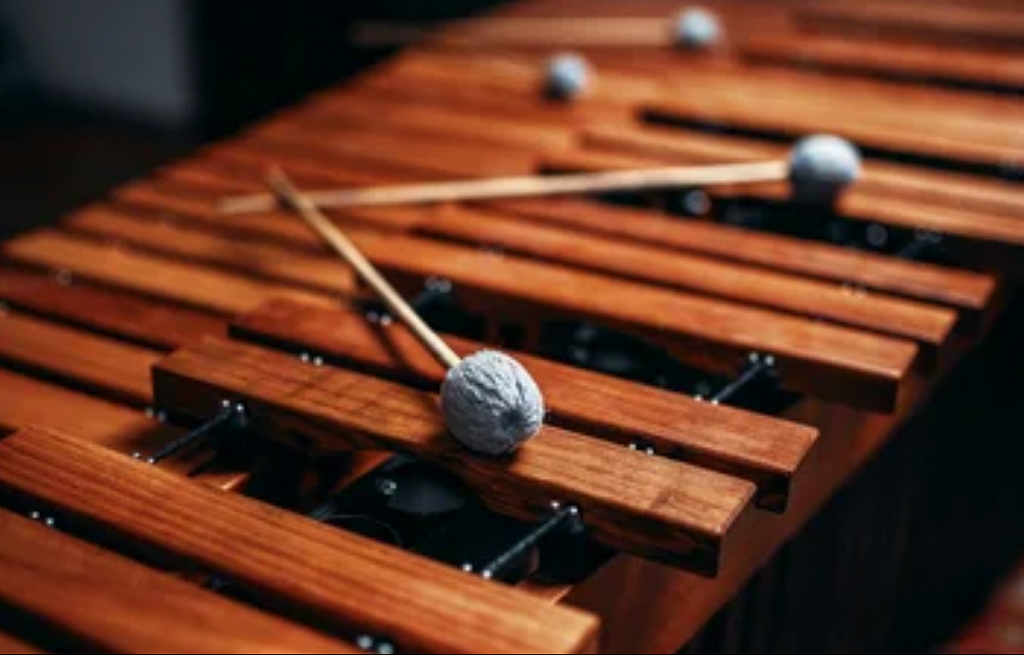 Как ударные инструменты музыку украсили. Изображение 2