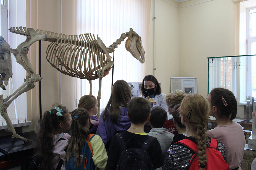 Музей Анатомии им. Б.К. Гиндце. Изображение 2