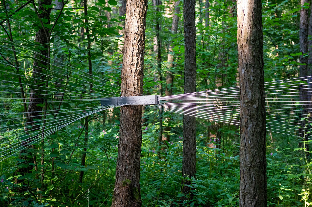 Парк Малевича. Изображение 9