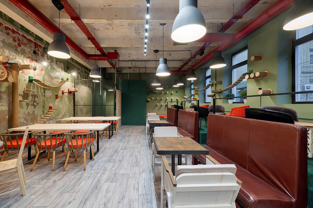 Котокафе "Котики: смена!". Изображение 4