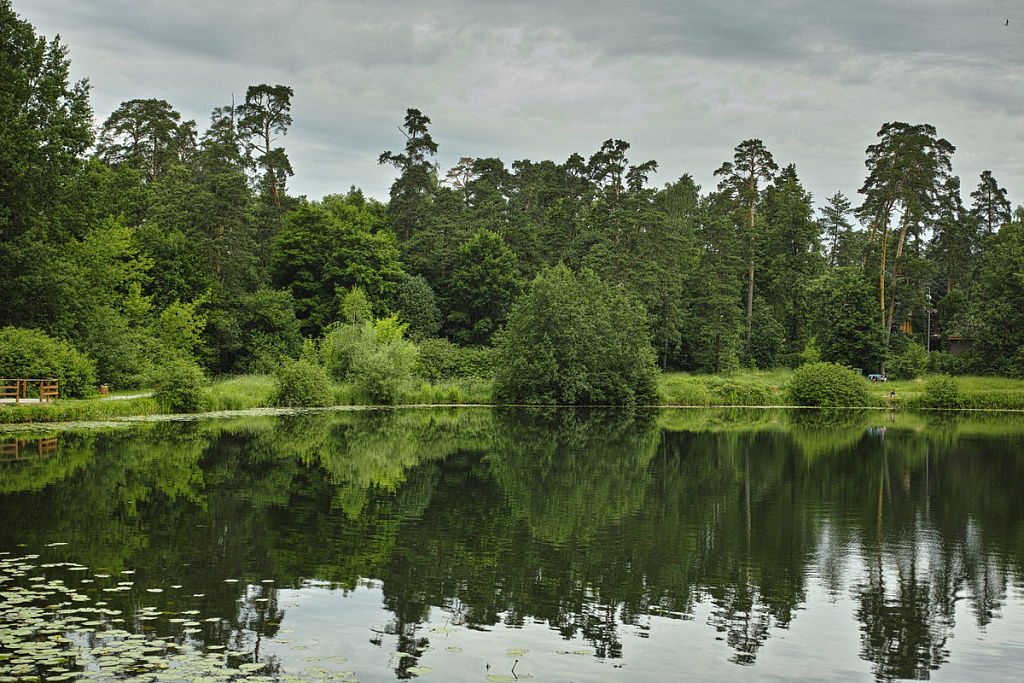 Лесопарк Серебряный бор. Изображение 2