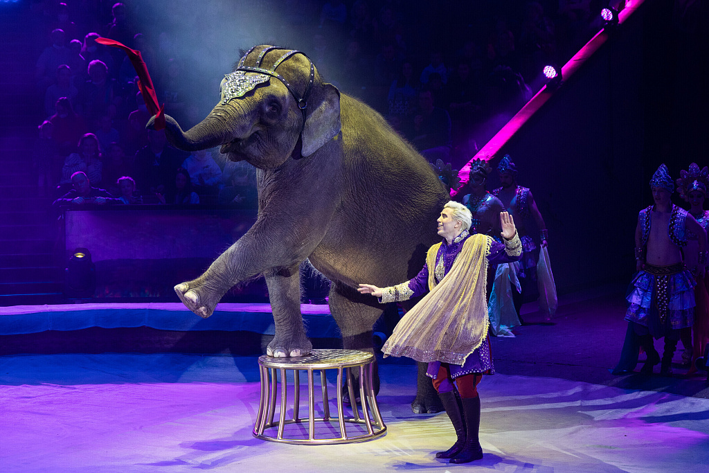 Большой Московский Государственный Цирк. Изображение 6