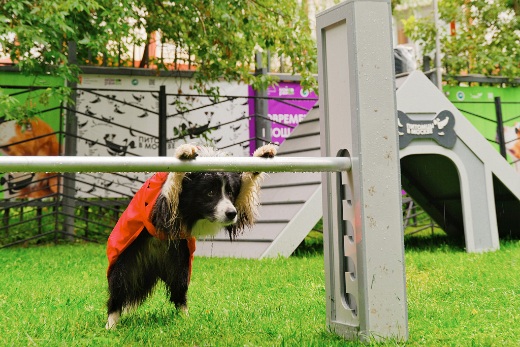 Территория будущего. Москва 2030. Изображение 6