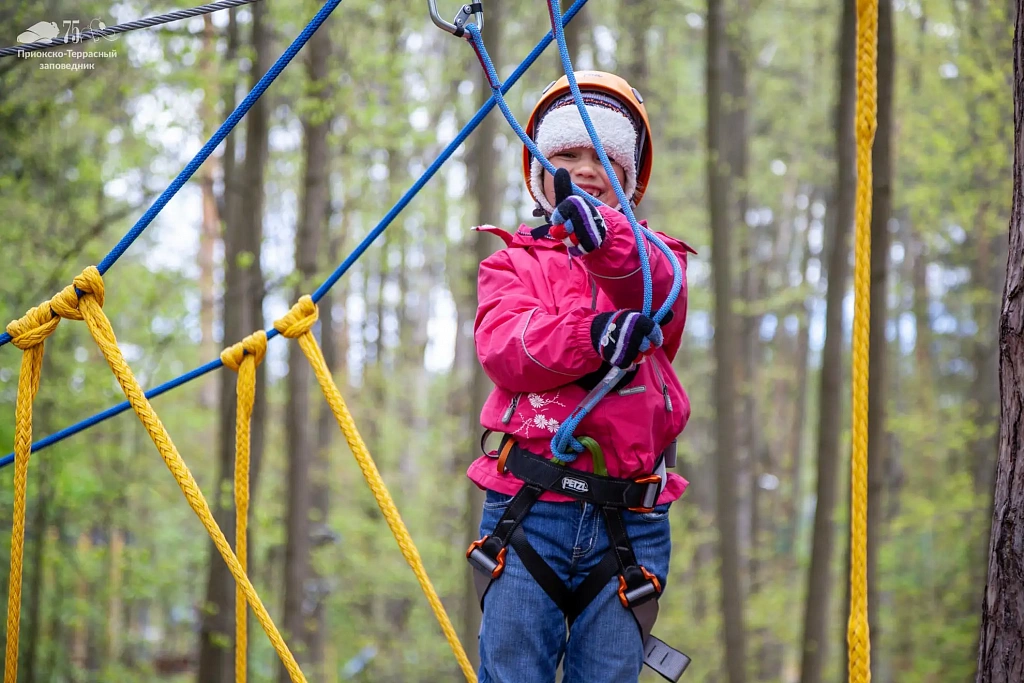 Экологический парк «Дерево-Дом». Изображение 4