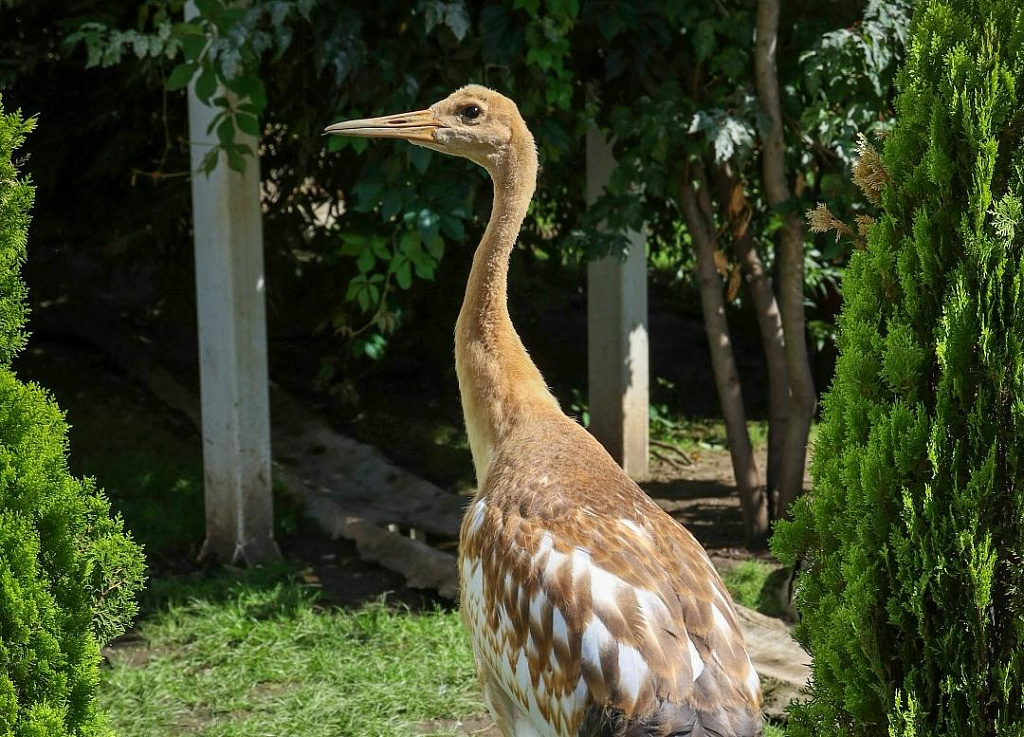 Московский Зоопарк. Изображение 8