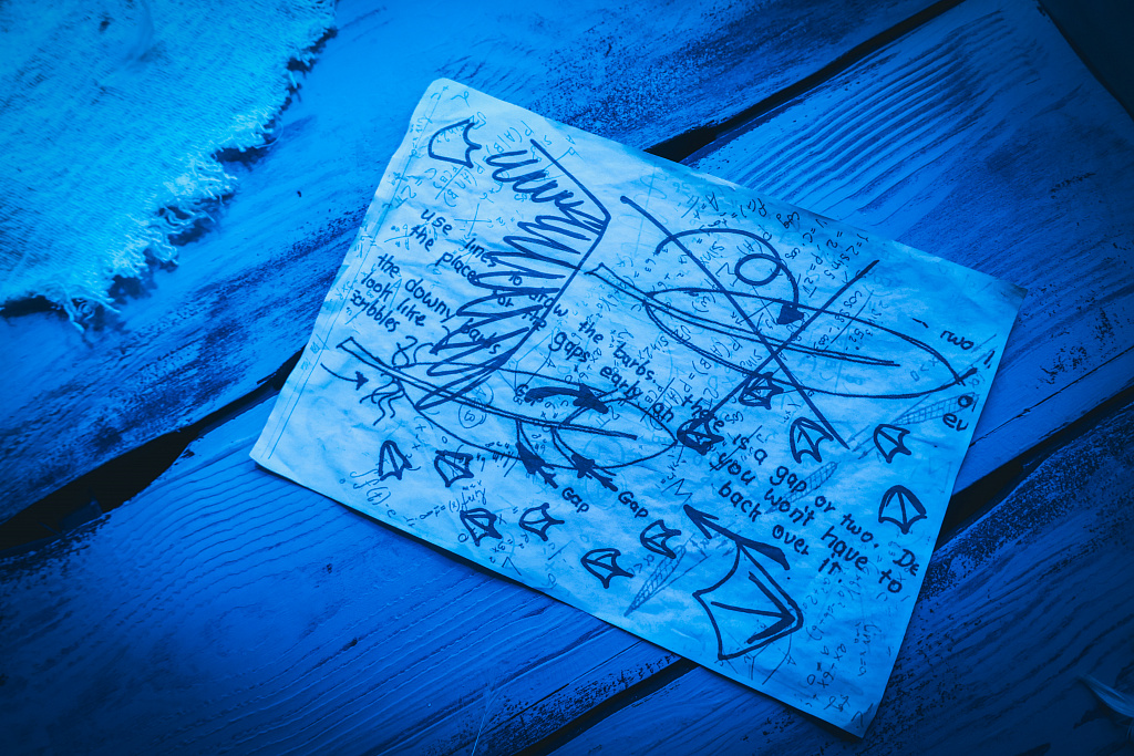 Чайка по имени.... Изображение 4