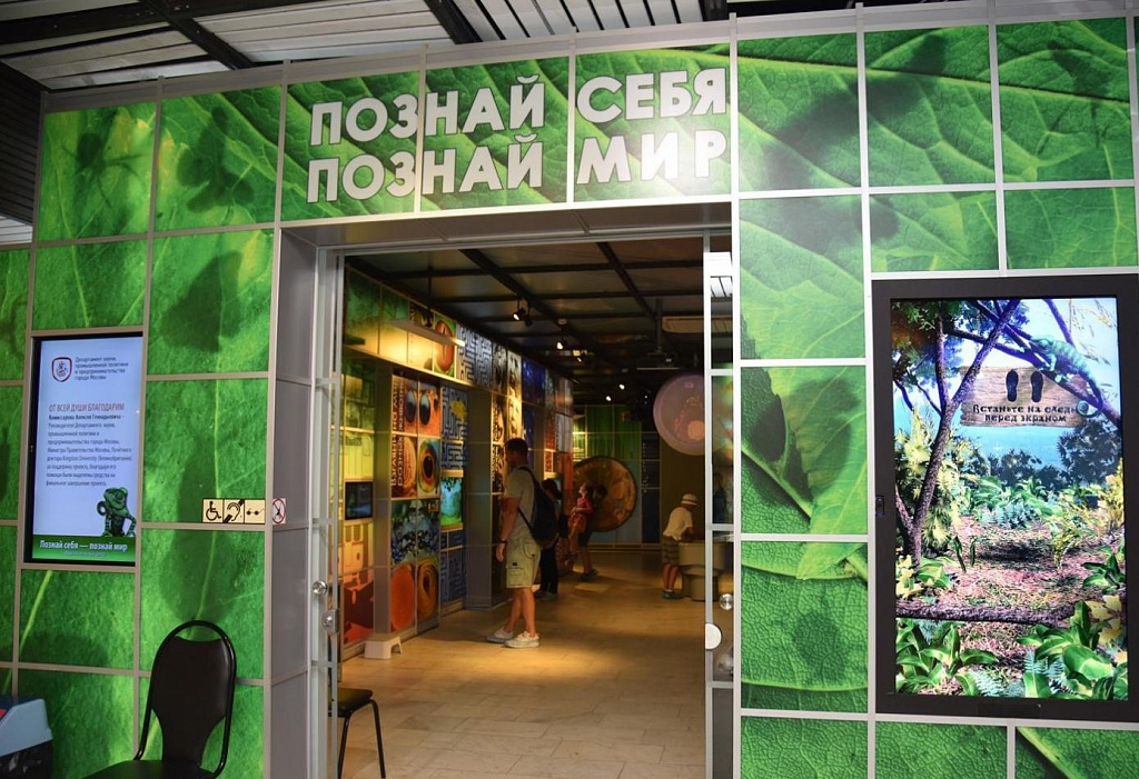 Познай себя – познай мир. Изображение 1