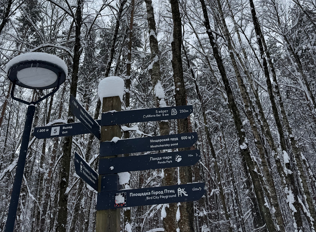 Мещерский парк. Изображение 2