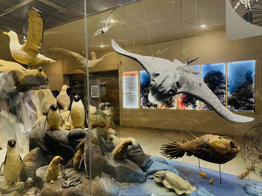 Государственный Дарвиновский музей. Изображение 16