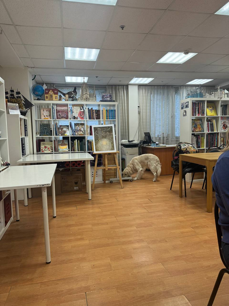 Dog урок. Изображение 3