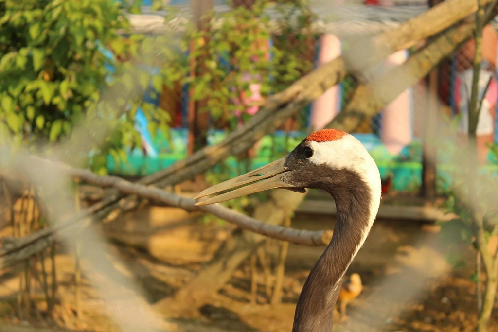 Планета обезьян. Изображение 7