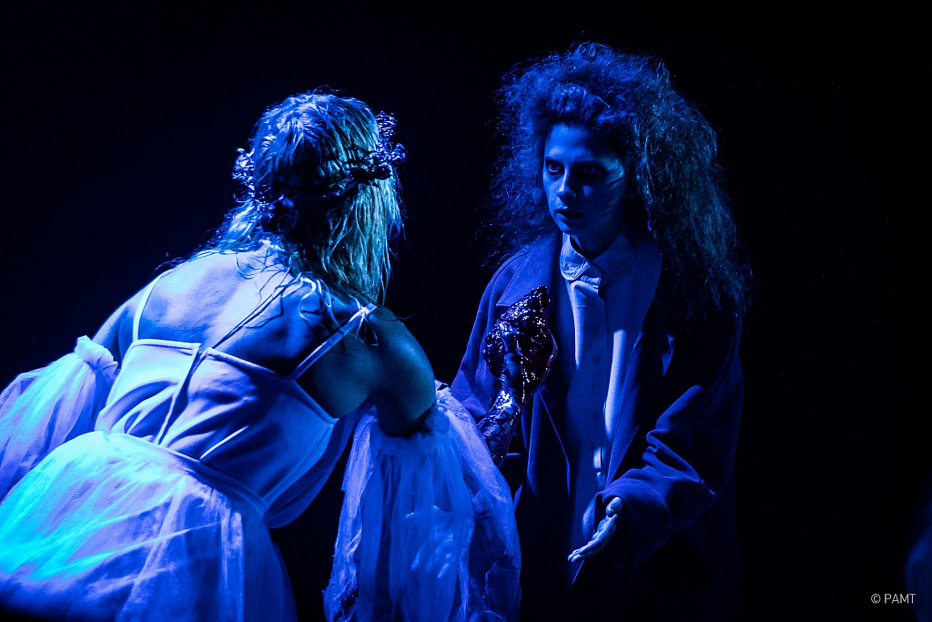 Василисса. Изображение 3