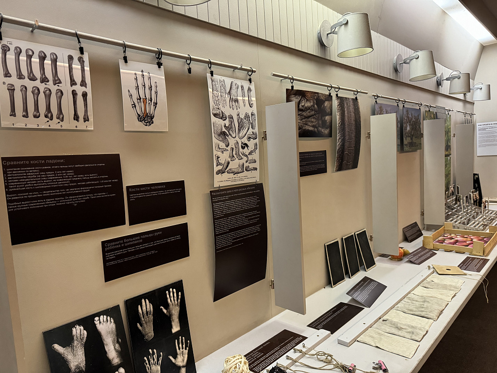 Биологический музей им. К.А. Тимирязева. Изображение 16