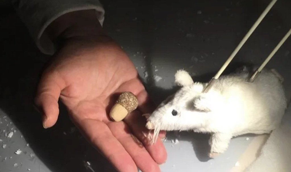 Зимняя сказка (Петрушкина Слобода). Изображение 2