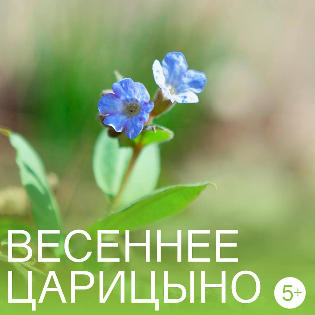 «Семейная мастерская» . Изображение 5