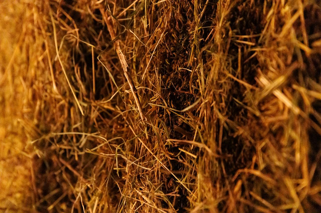 Архитектура для людей. Изображение 6