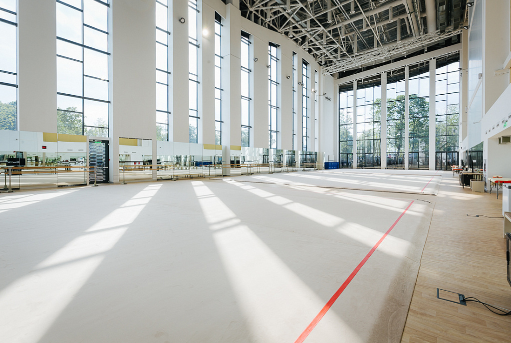 Дворец Гимнастики Ирины Винер-Усмановой. Изображение 3