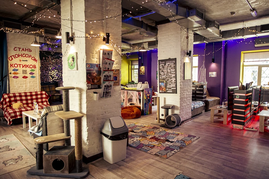 "Котофейня" на Курской. Изображение 6