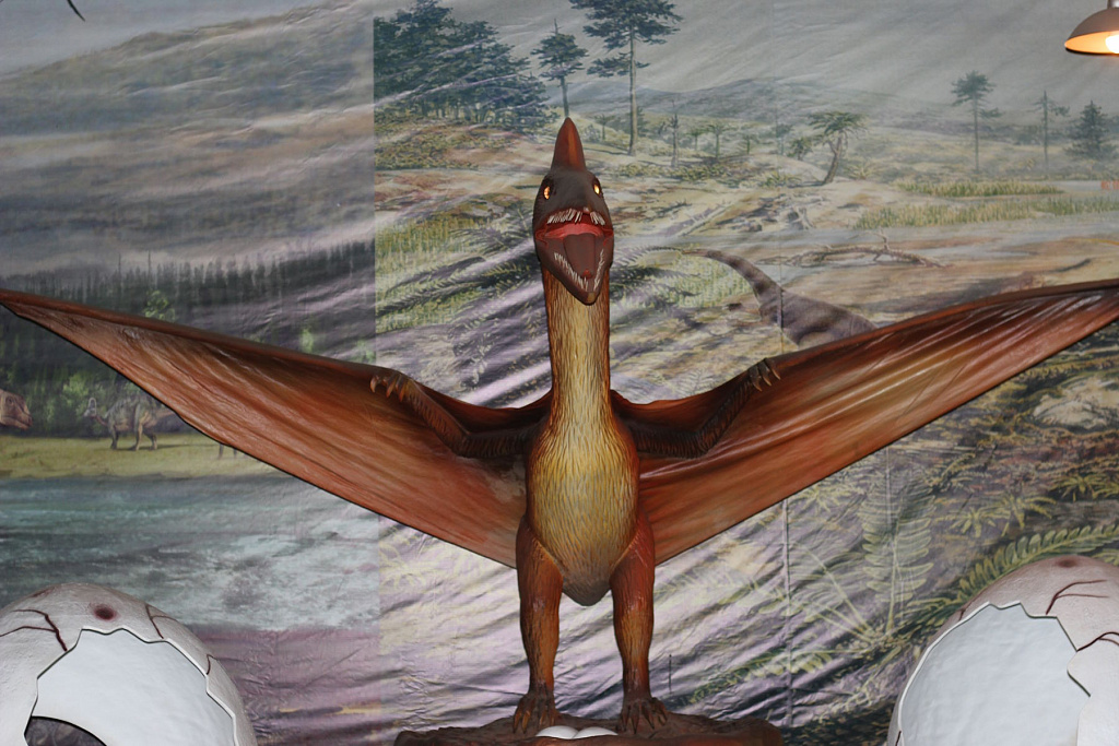 Динозавриум. Изображение 1