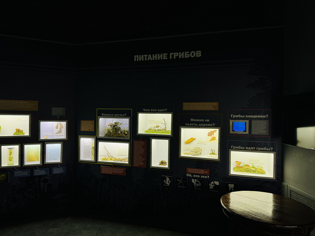 Биологический музей им. К.А. Тимирязева. Изображение 10