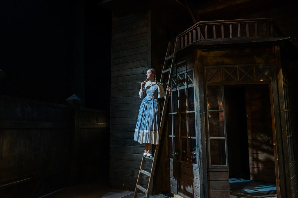 Шутники (Новый драматический театр). Изображение 1