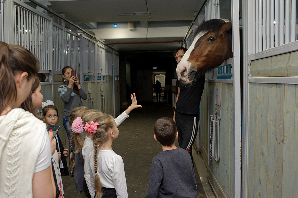 Экскурсии в Большой Московский цирк. Изображение 6