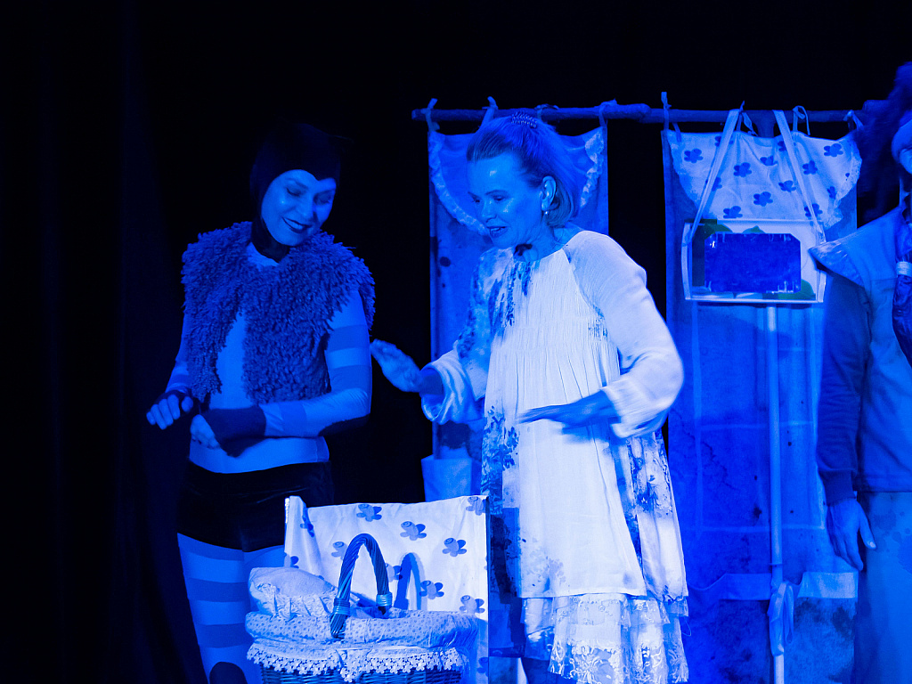 Кошка, которая гуляла, где хотела. Изображение 2