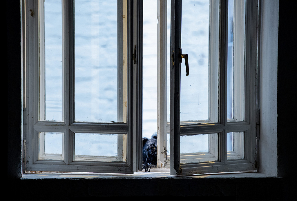 Без сна. Изображение 1