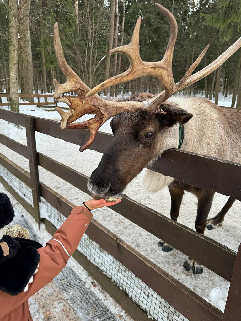 Зоопарк во Vnukovo Outlet Village. Изображение 9