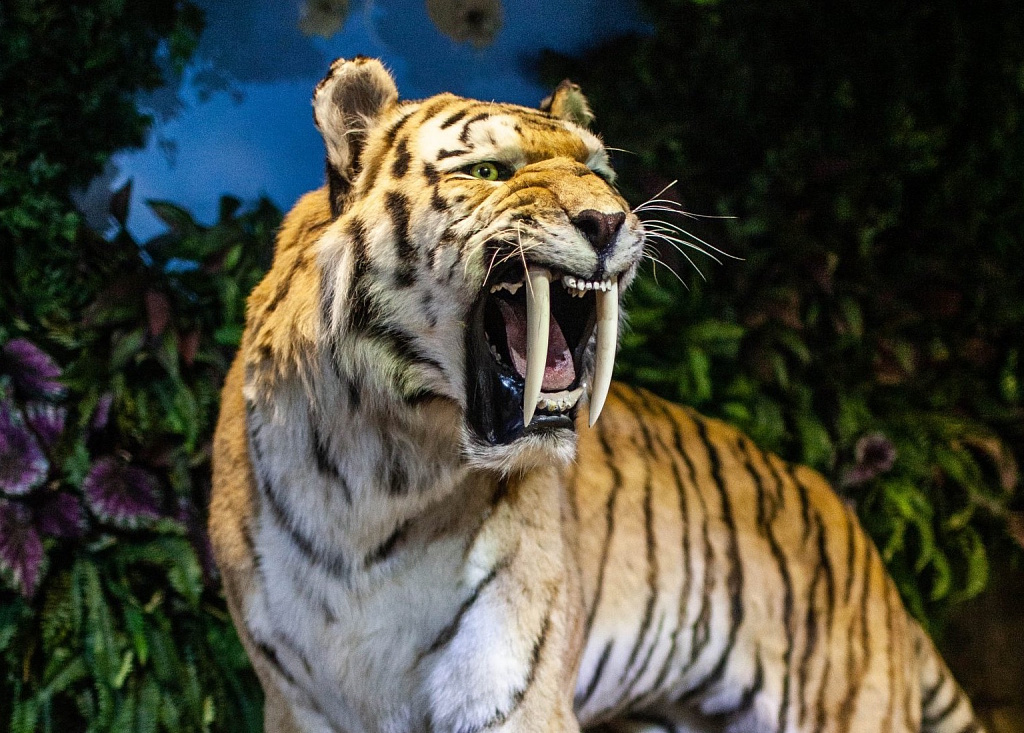 Выставка "Мамонт и его окружение". Изображение 2