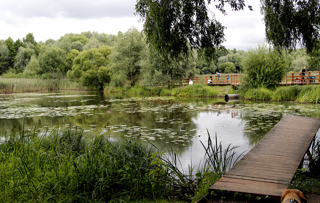 Лесопарк Серебряный бор. Изображение 5