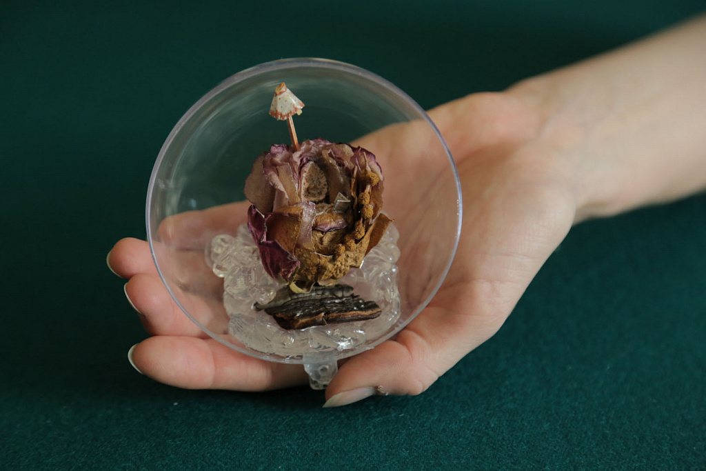 Тайны эльфов. Изображение 1