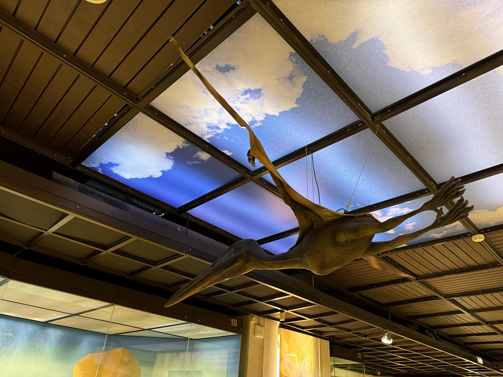 Государственный Дарвиновский музей. Изображение 14