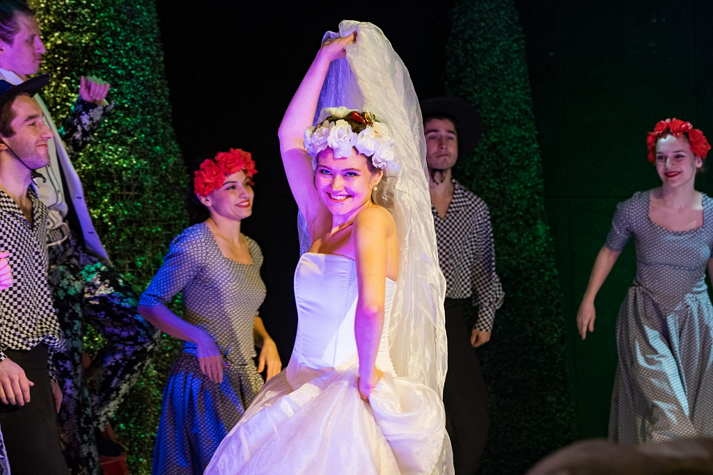 Женитьба Фигаро. Изображение 9