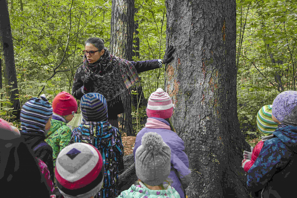 Экопроект "Гнездо вяхиря". Изображение 1