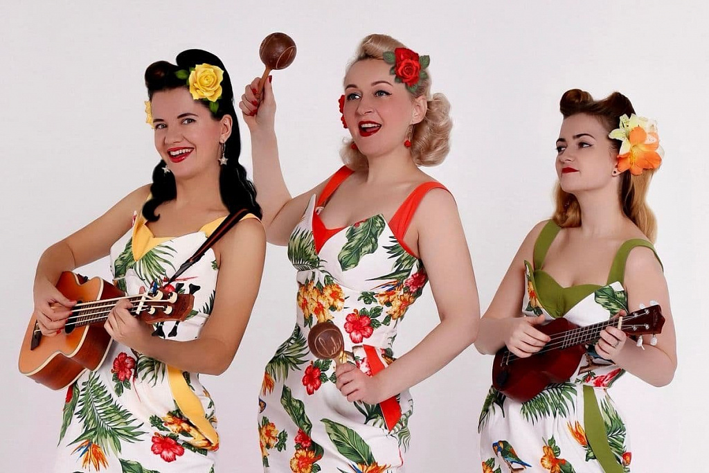 Концерт рок-н-ролла (Группа Marshmallows). Изображение 1